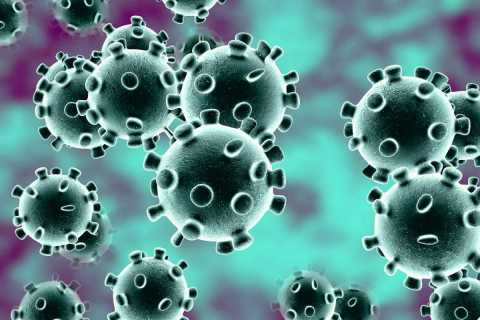 Bari, secondo caso di coronavirus alla Bnl di piazza Garibaldi: banca chiusa